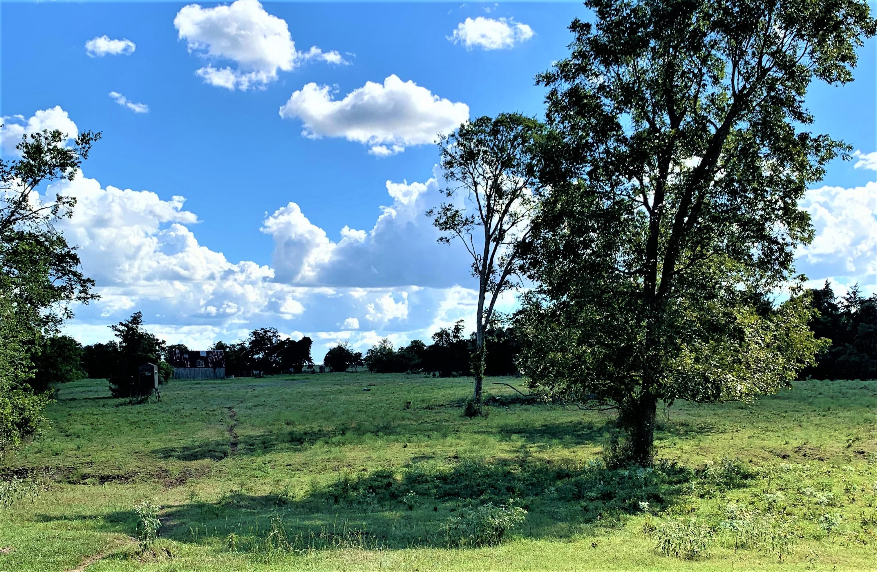 Shiner, Lavaca County, TX Farms and Ranches, Recreational Property for sale Property ID