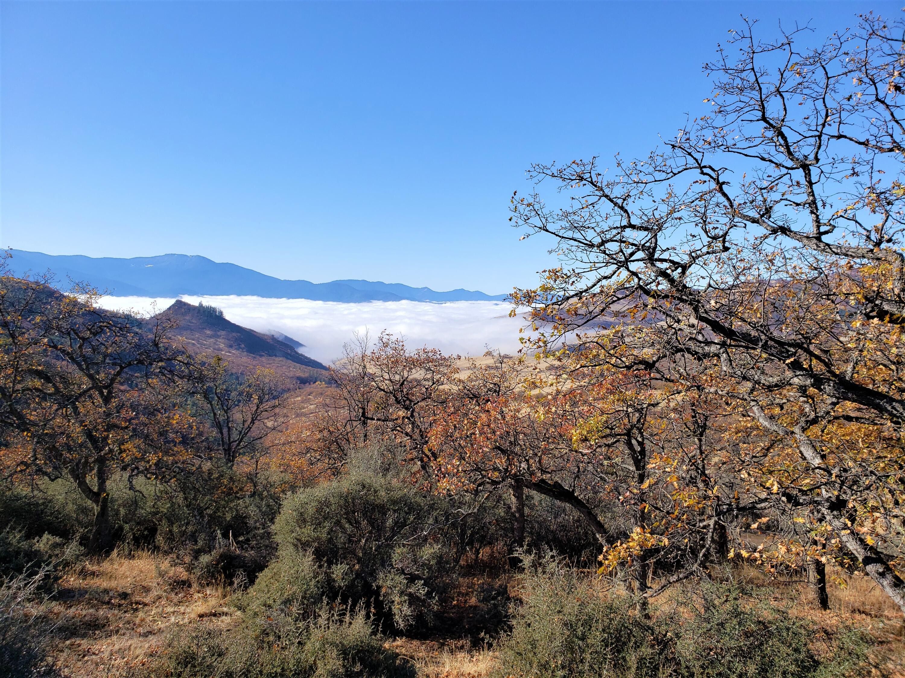 Ashland, Jackson County, OR Undeveloped Land for sale Property ID