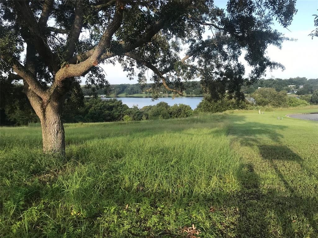 Eustis, Lake County, FL Undeveloped Land, Lakefront Property