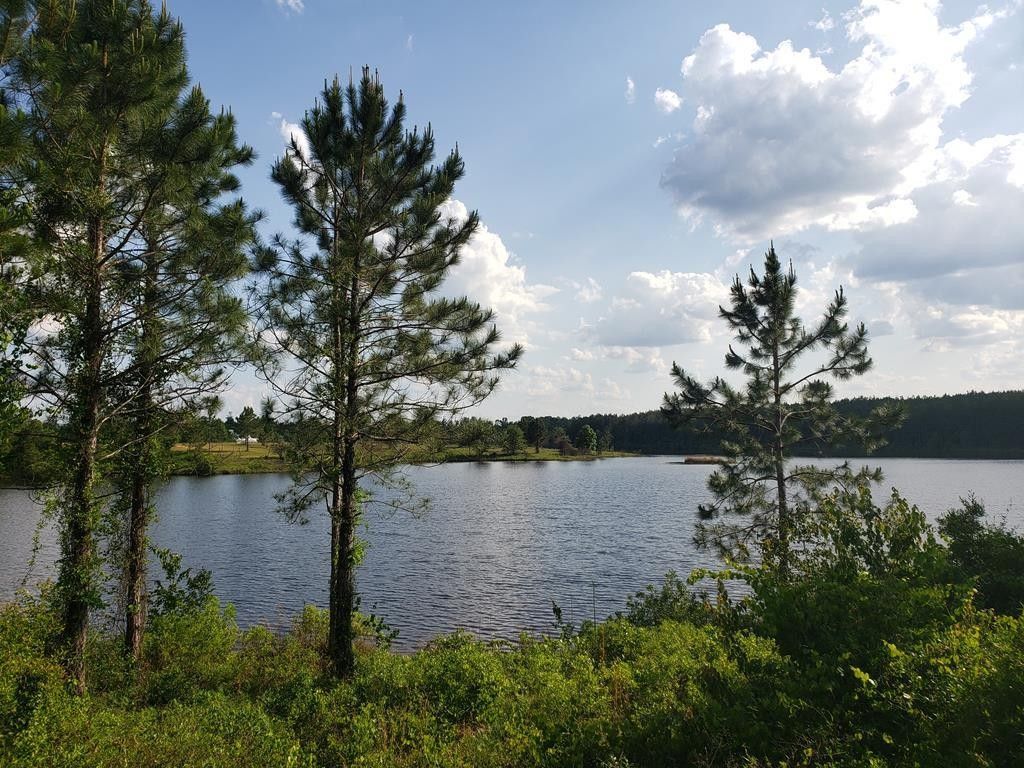 Baxley, Appling County, GA Undeveloped Land, Lakefront Property