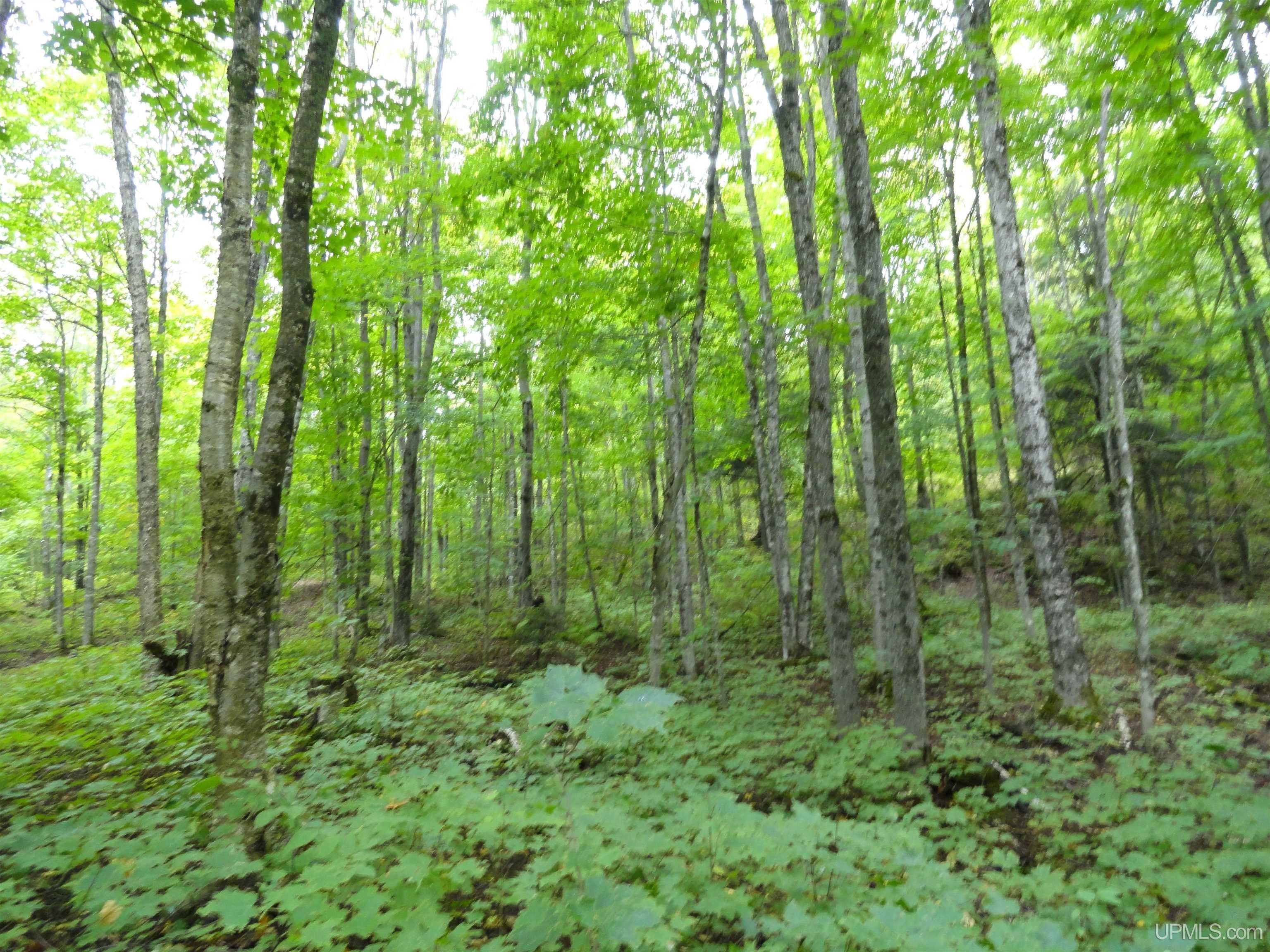 Big Bay, Marquette County, MI Undeveloped Land for sale Property ID