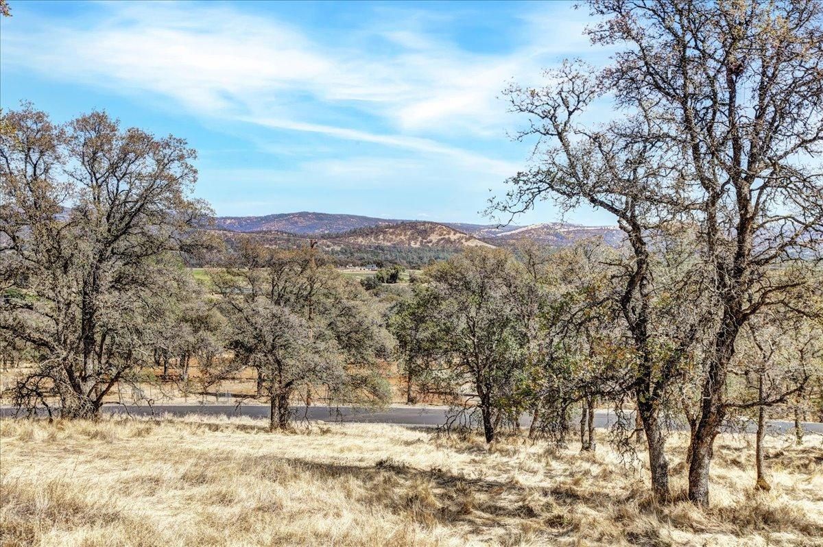 Browns Valley, Yuba County, CA Undeveloped Land for sale Property ID