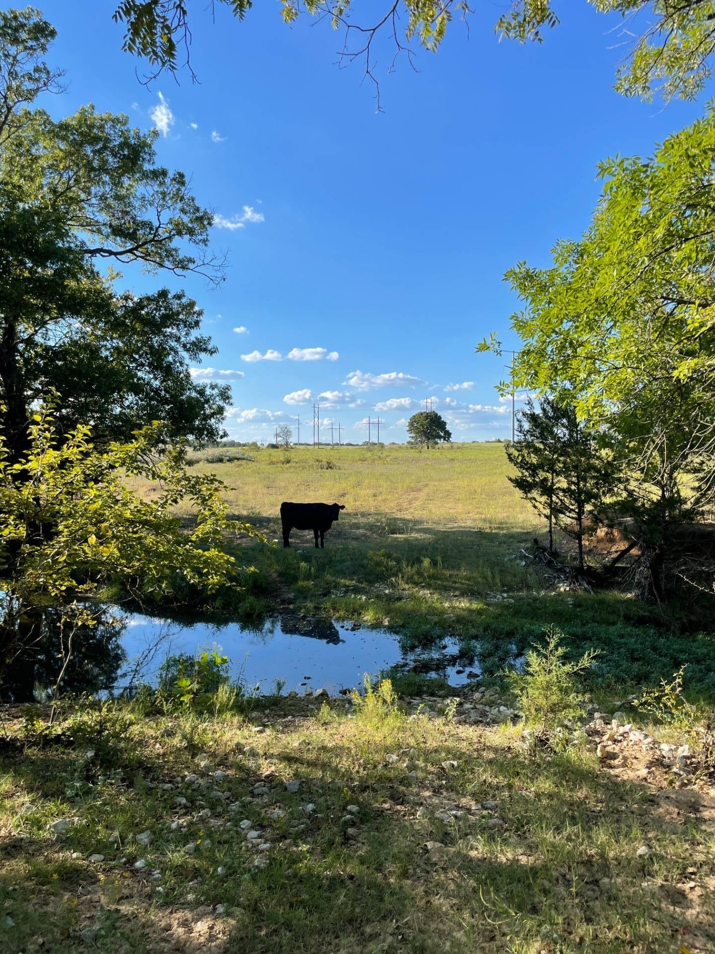 Hugo, Choctaw County, OK Farms and Ranches, House for sale Property ID