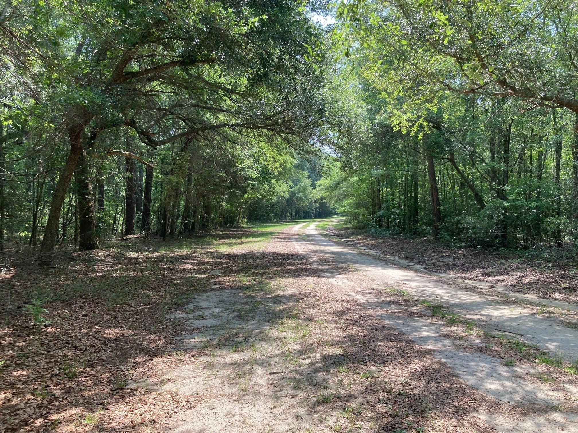 1,345 acres in Manning, SC, LandWatch
