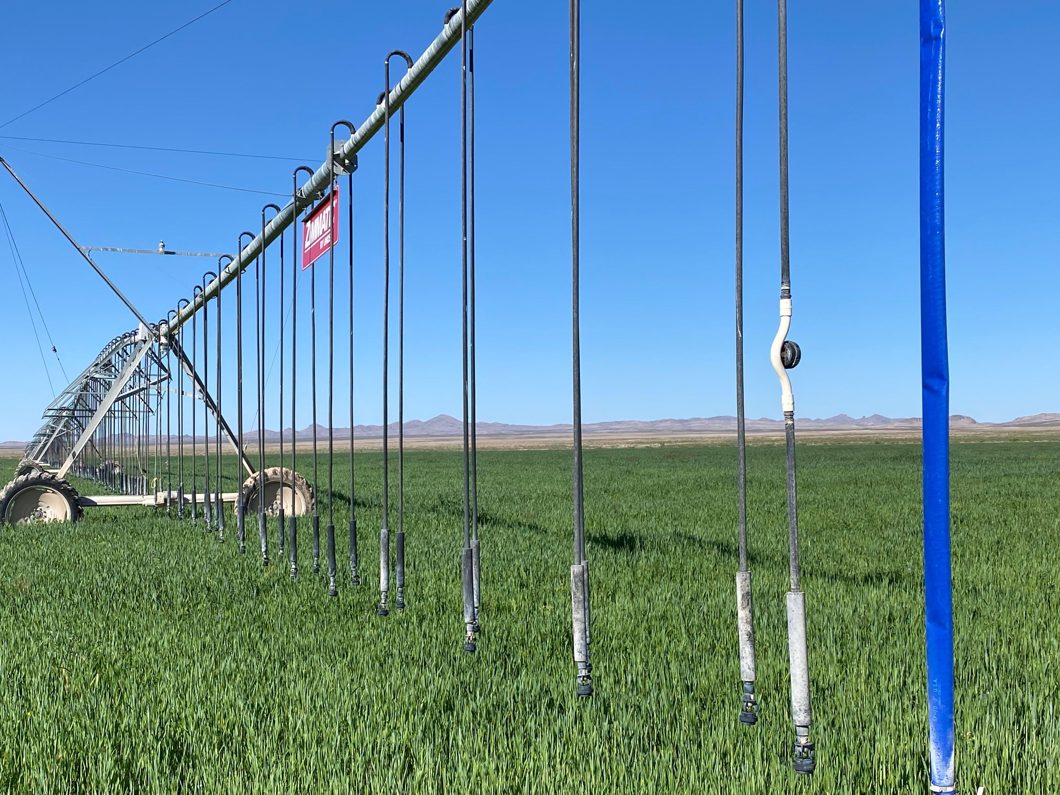 Lordsburg, Hidalgo County, NM Farms and Ranches for sale Property ID