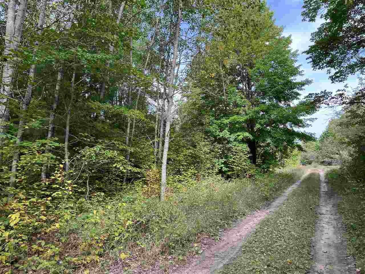 Mancelona, Antrim County, MI Undeveloped Land for sale Property ID