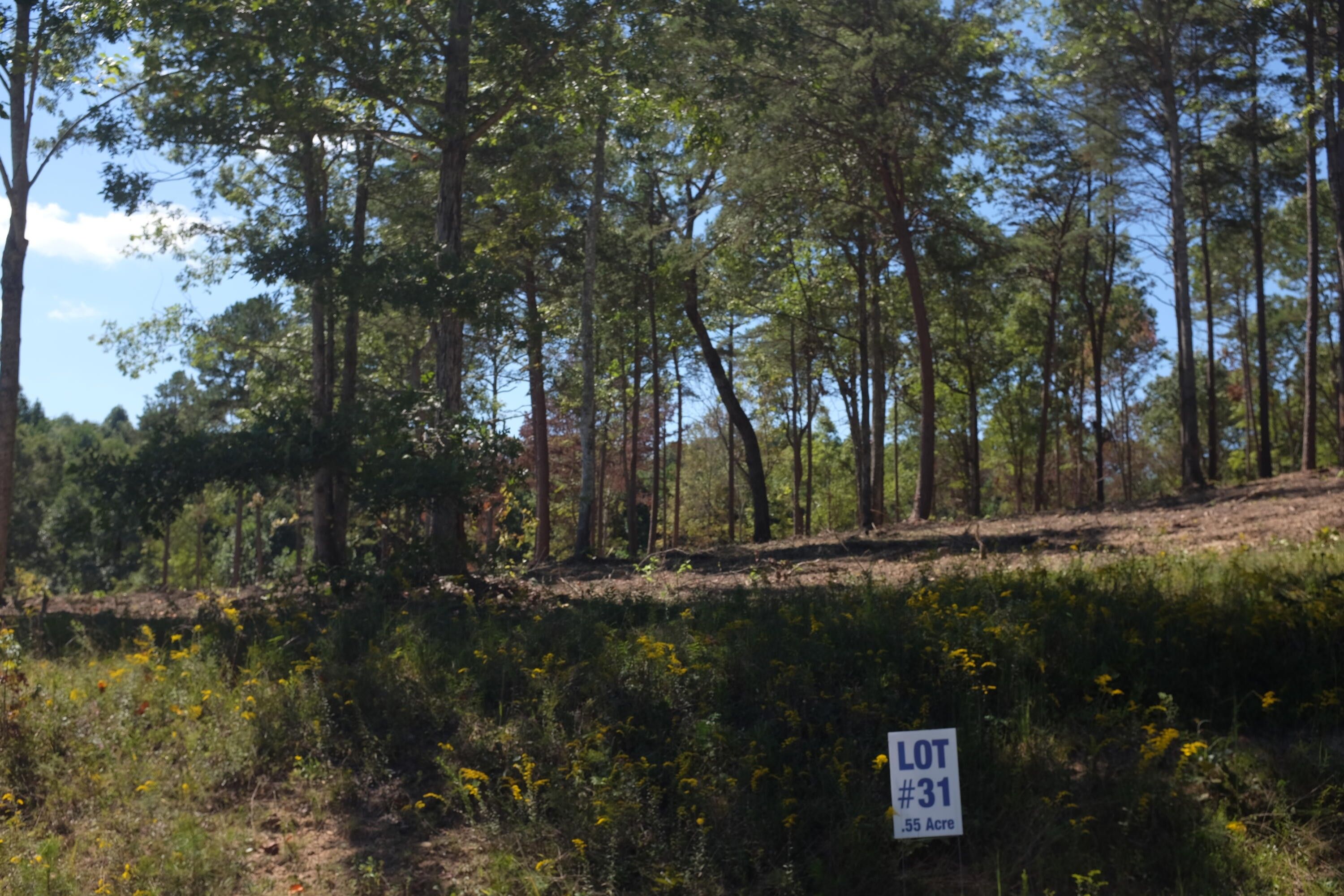 Corbin, Laurel County, KY Farms and Ranches, Homesites for sale