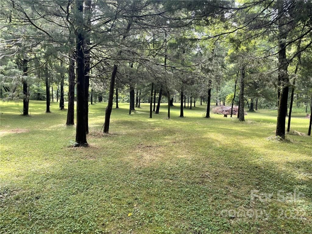 Mill Spring, Polk County, NC Lakefront Property, Waterfront Property