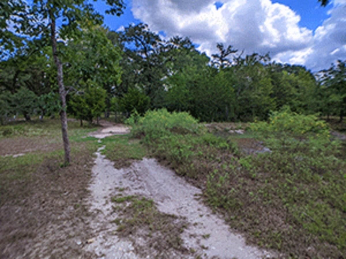 Somerville, Burleson County, TX House for auction Property ID