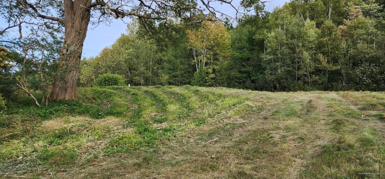 Dennysville, Washington County, ME Undeveloped Land, Homesites for sale