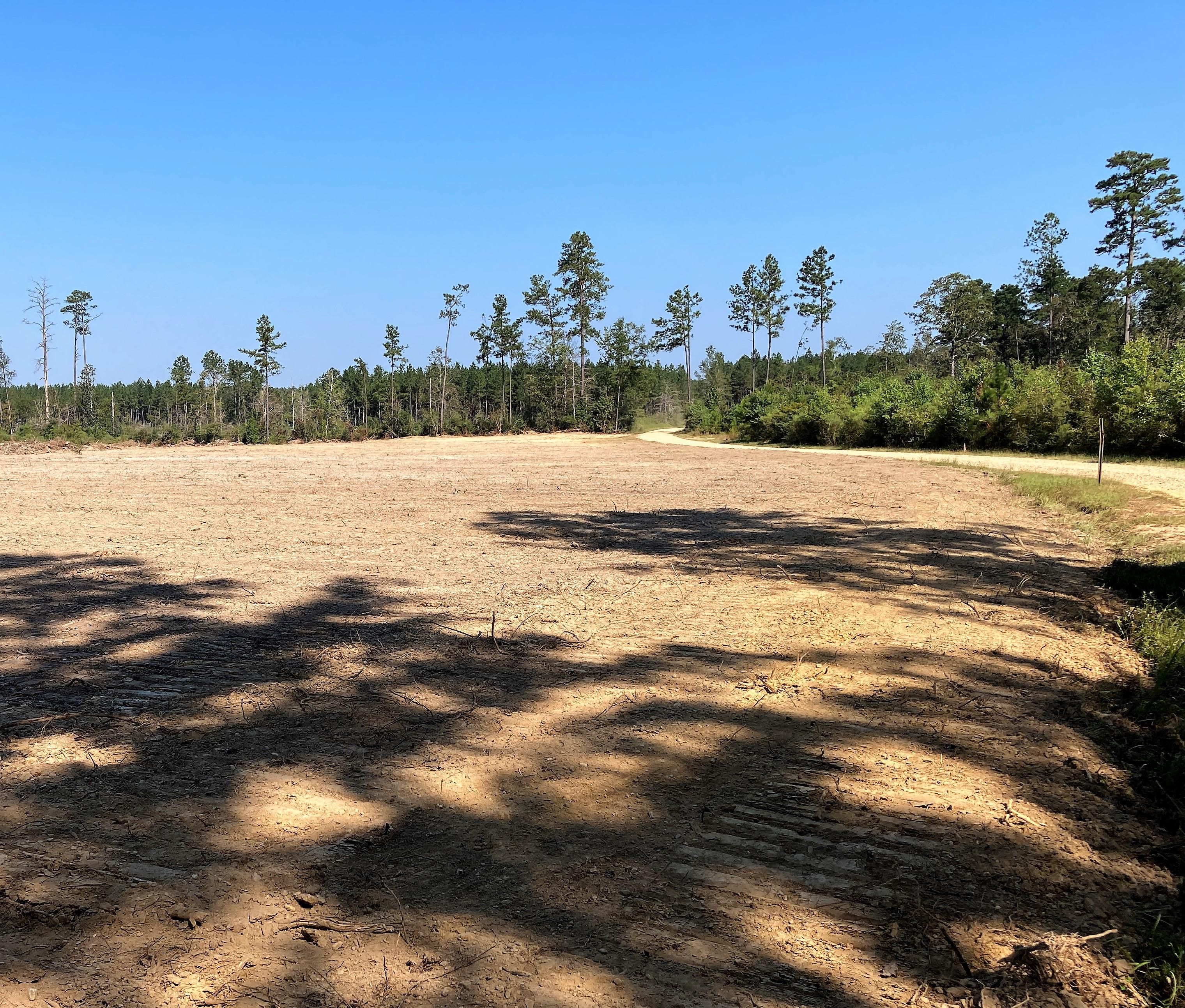 Pine Grove, Saint Helena Parish, LA Recreational Property, Undeveloped