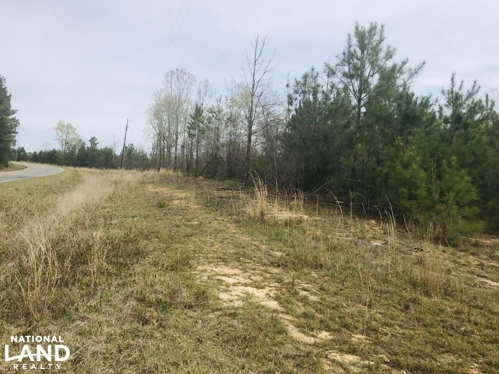 Buena Vista, Marion County, GA Farms and Ranches, Timberland Property