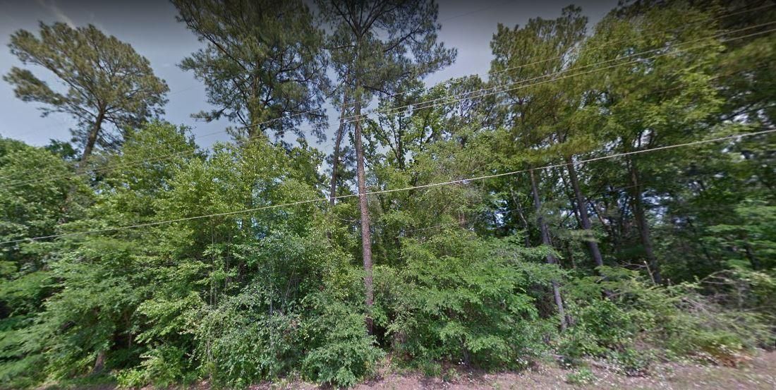 Daingerfield, Morris County, TX Recreational Property, Undeveloped Land