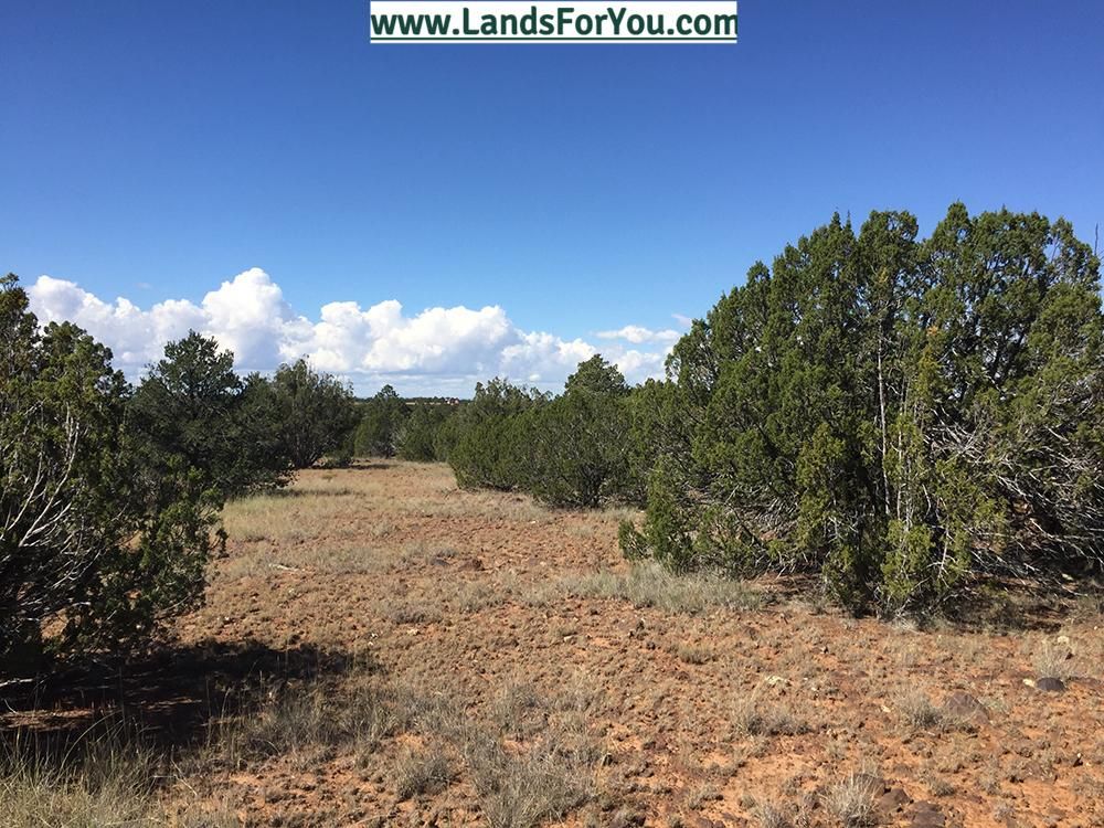 Snowflake, Navajo County, AZ Farms and Ranches, Recreational Property, Homesites for sale