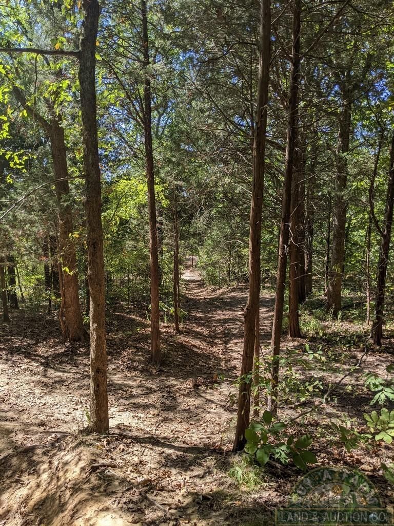 Herod, Saline County, IL Recreational Property, Timberland Property, Hunting Property for