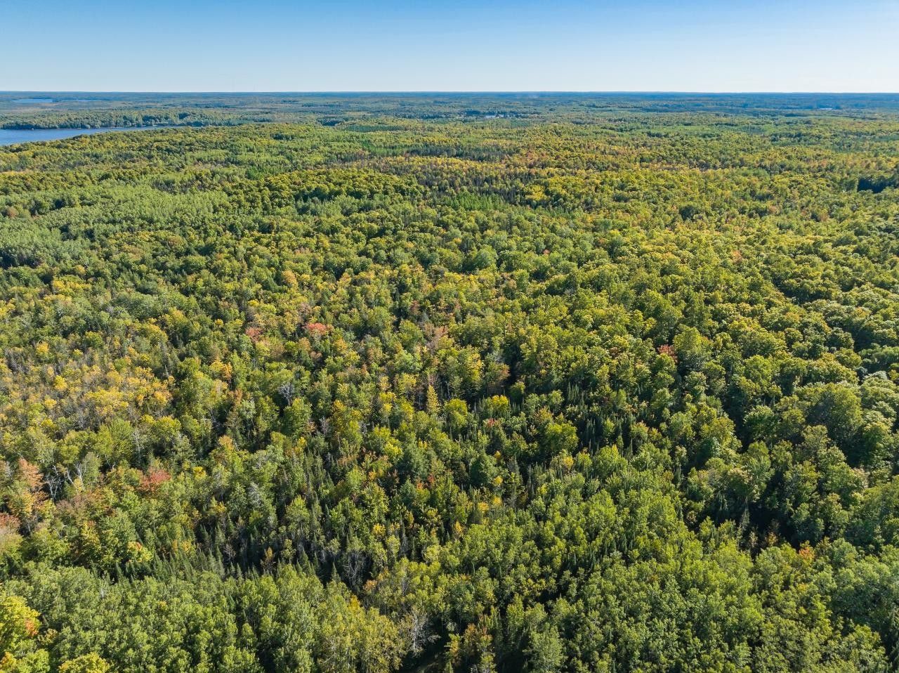 Clearwater Lake, Oneida County, WI Undeveloped Land for sale Property