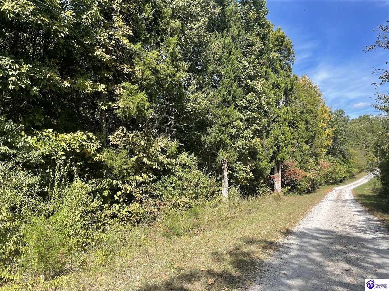 lot 10 Rosetta Drive, Irvington, KY 40146 MLS HK10062562 LandWatch