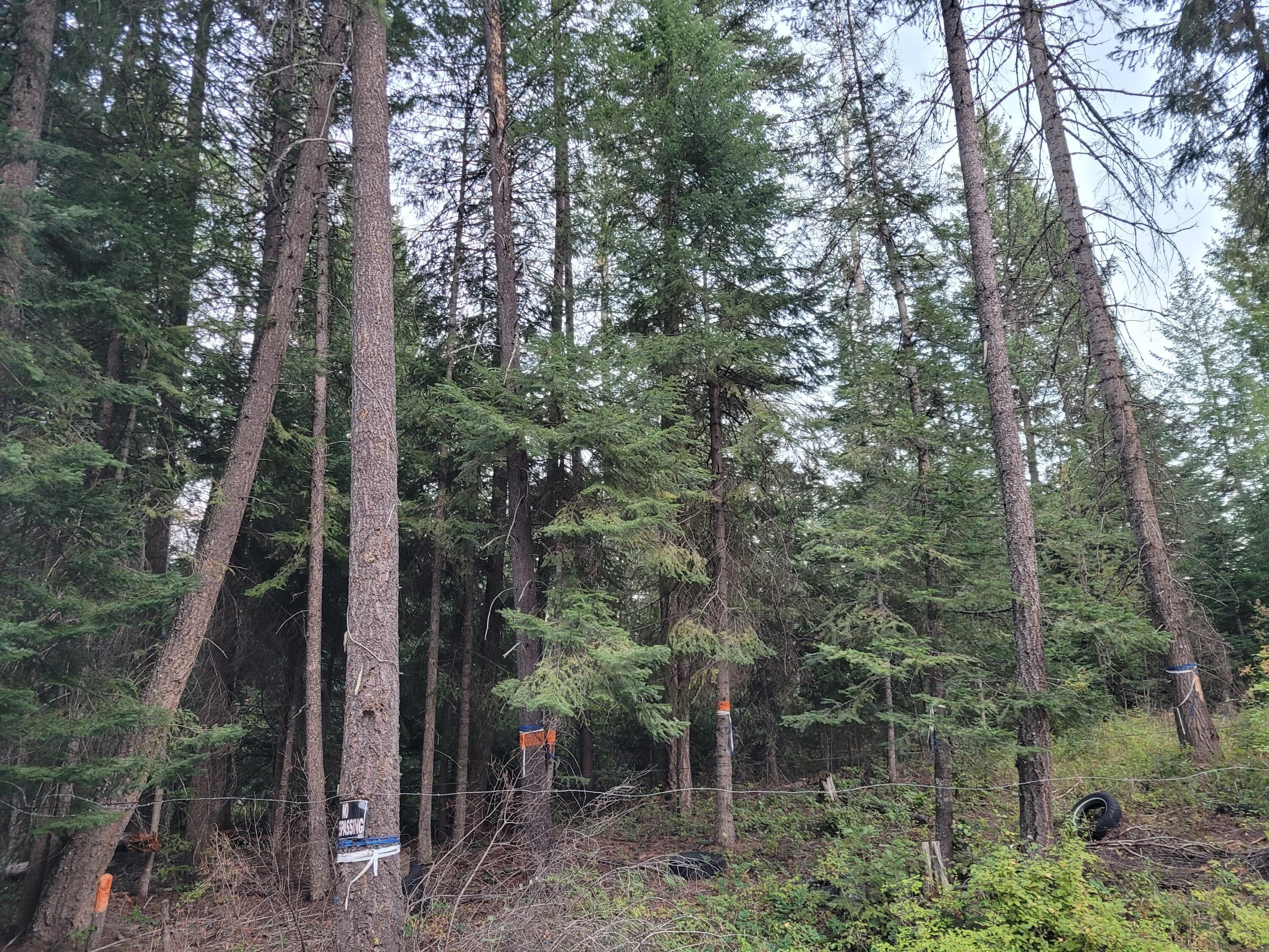 Springdale, Stevens County, WA Undeveloped Land, Homesites for sale