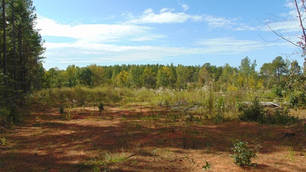 Nathalie, Halifax County, VA Farms and Ranches for sale Property ID