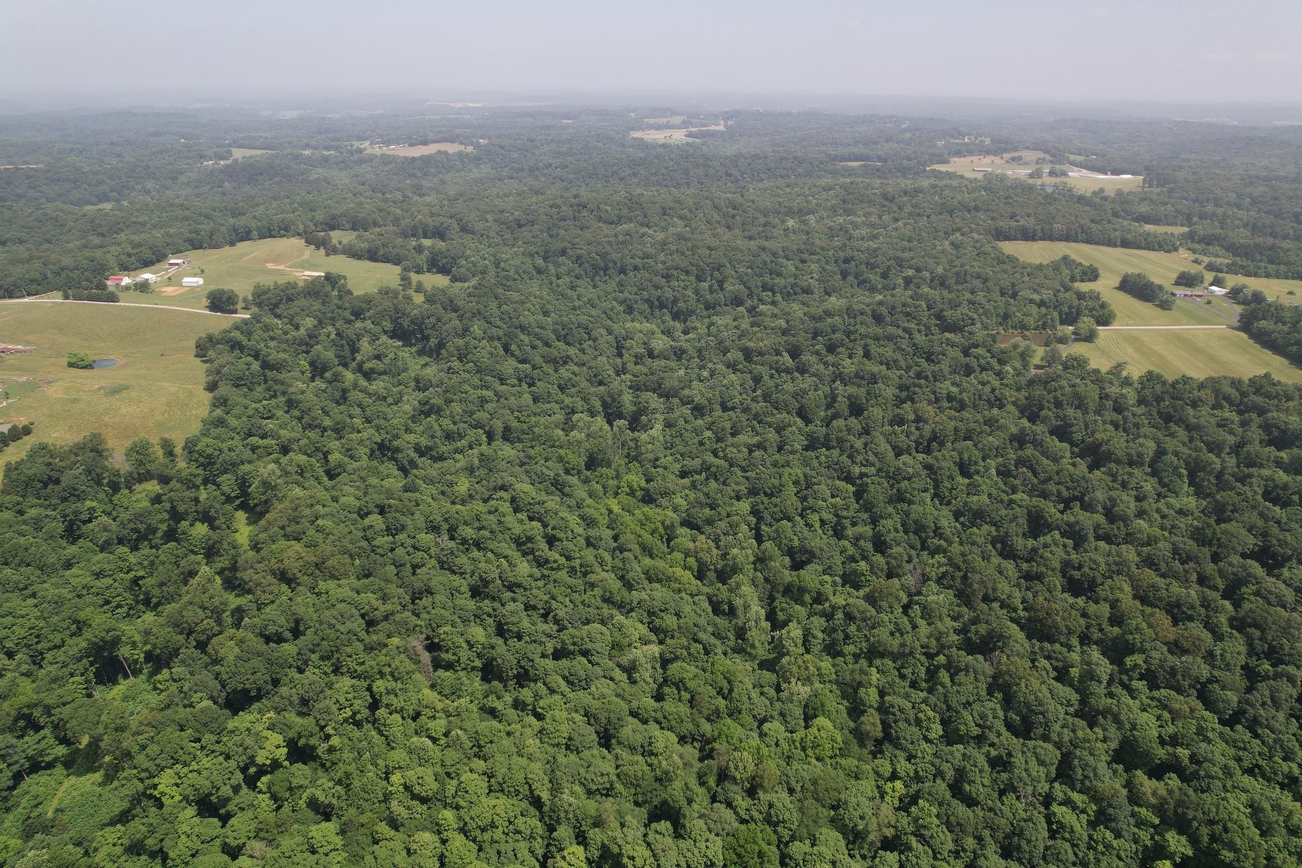 Depauw, Harrison County, IN Recreational Property, Timberland Property
