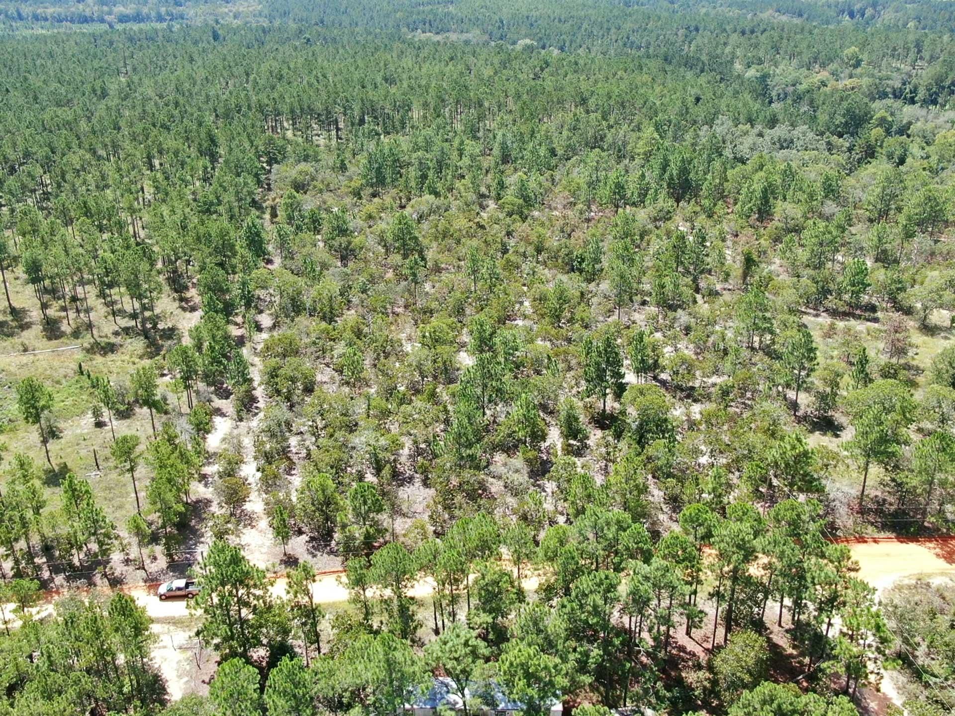 Whispering Pines Rd, Mauk, GA 31058 LandWatch