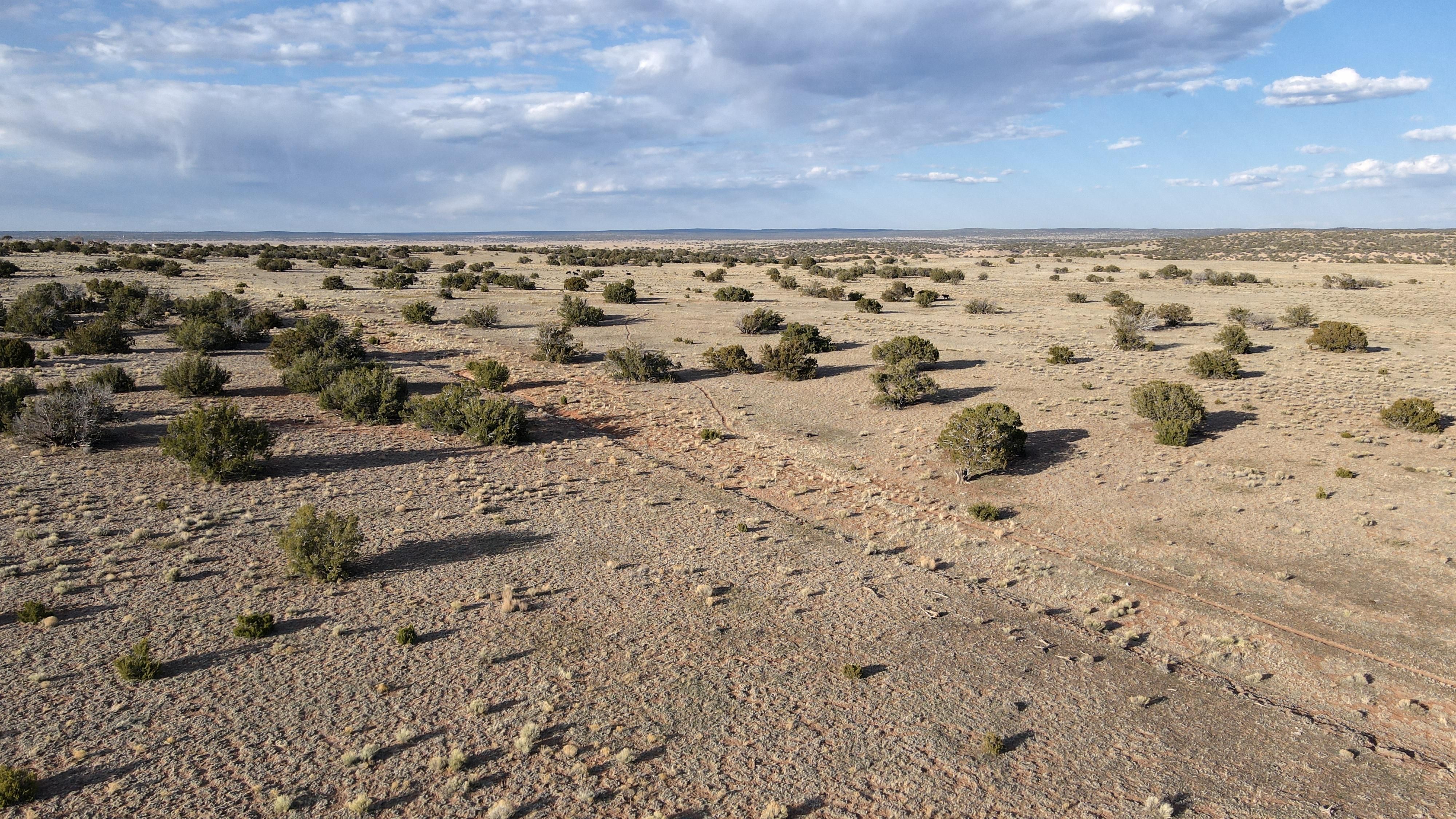 Chambers, Apache County, AZ Recreational Property, Undeveloped Land