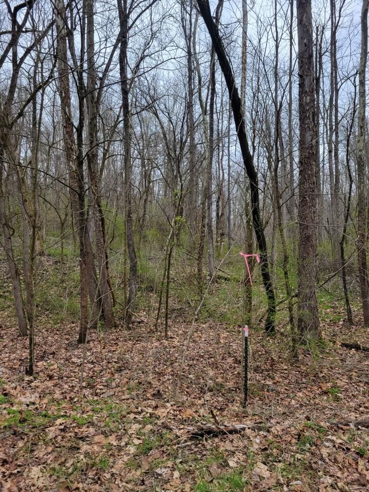 Roseville, Muskingum County, OH Recreational Property, Hunting Property