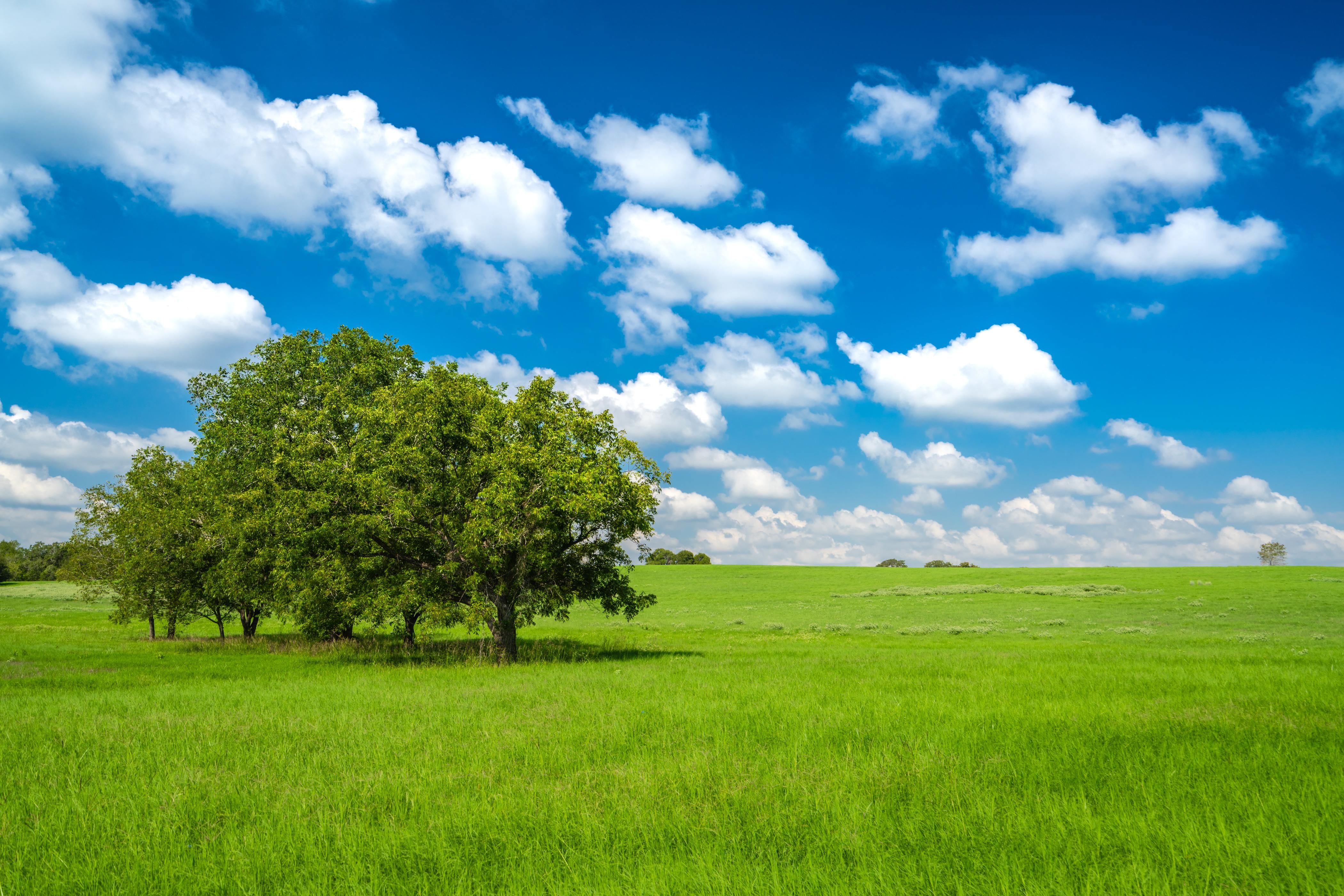 Lexington, Lee County, TX Farms and Ranches, Recreational Property