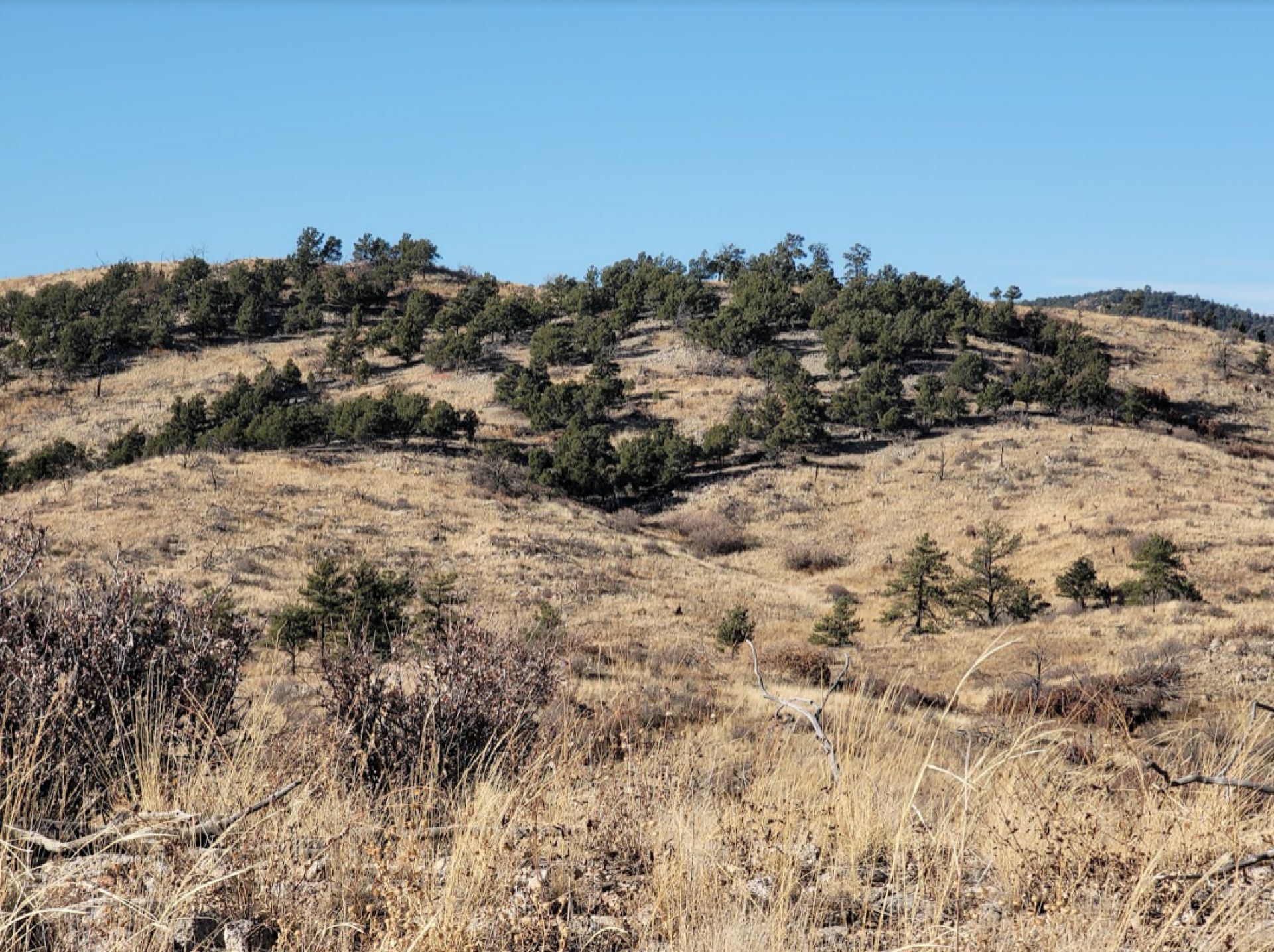 Westcliffe, Fremont County, CO Recreational Property, Homesites for sale Property ID 414918217