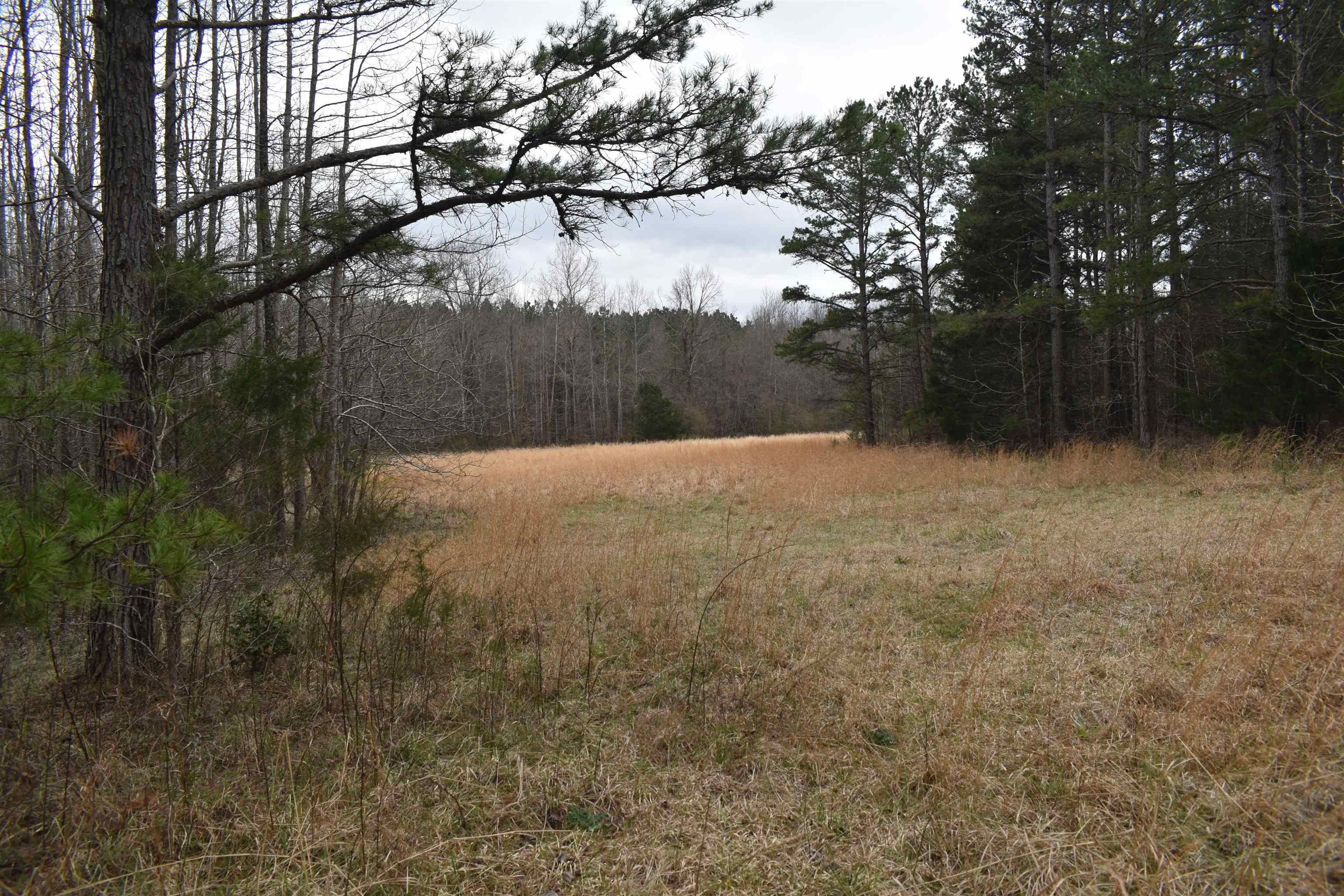 Tiplersville, Tippah County, MS Undeveloped Land for sale Property ID