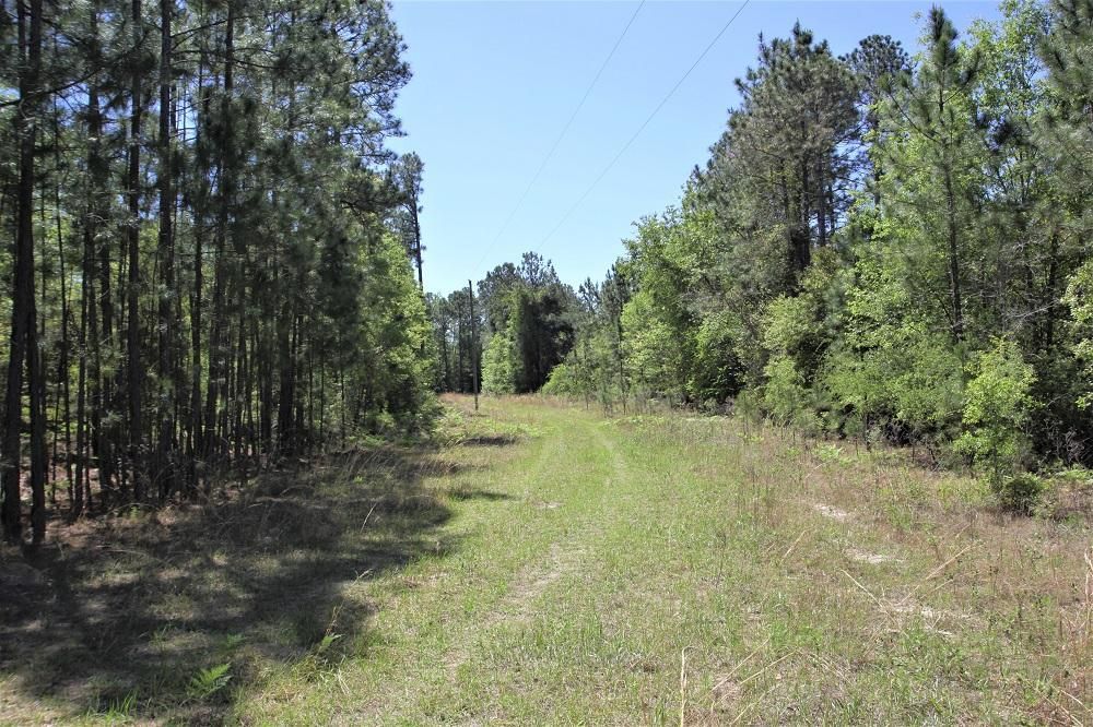 Eastman, Dodge County, GA Recreational Property, Undeveloped Land