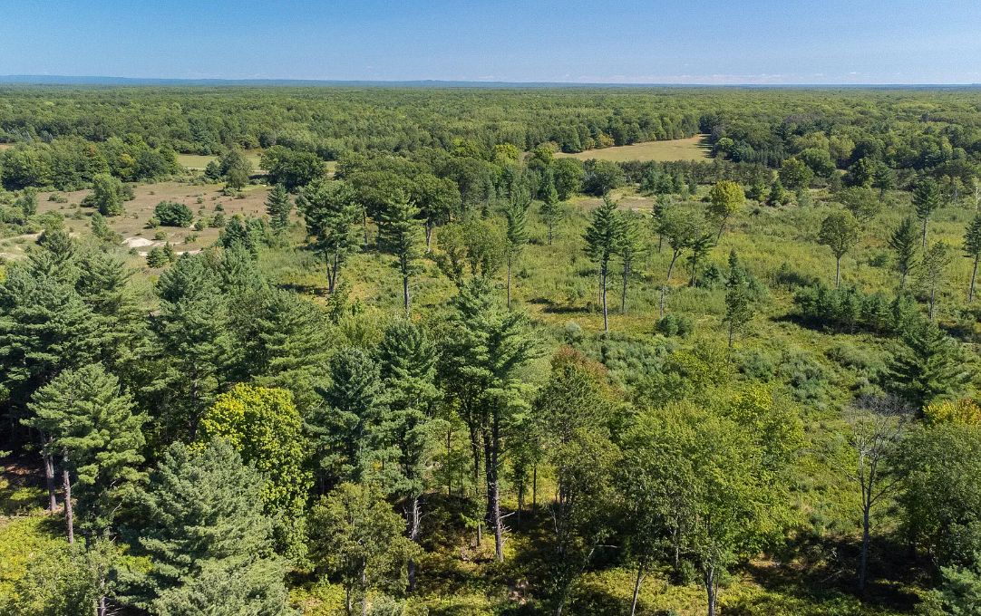 Irons, Manistee County, MI Recreational Property, Undeveloped Land for sale Property ID