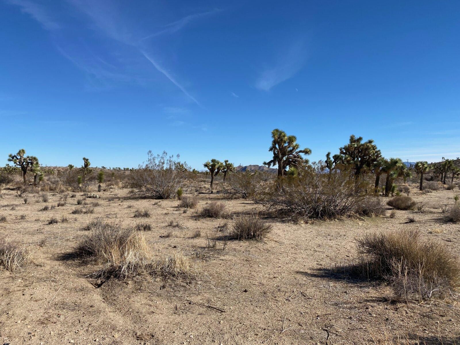 Yucca Valley, San Bernardino County, CA Recreational Property