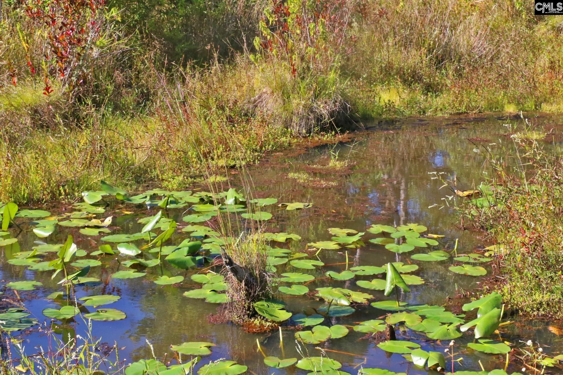 Wagener, Aiken County, SC Undeveloped Land for sale Property ID