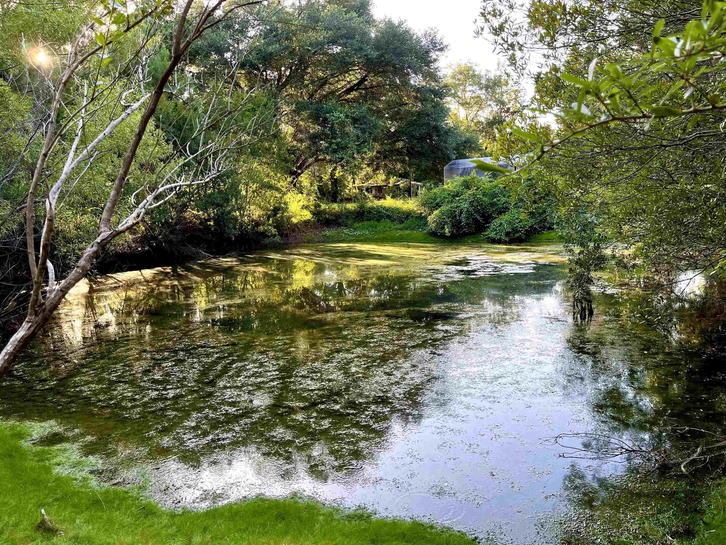 Lake City, Columbia County, FL Undeveloped Land for sale Property ID 414920995 LandWatch