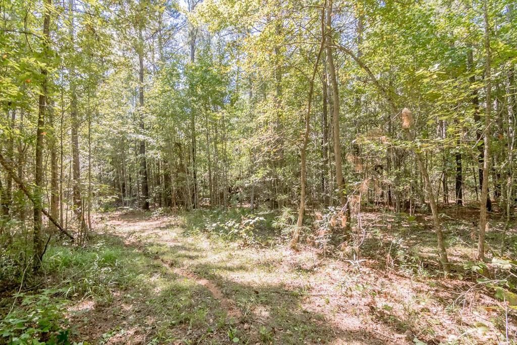 Mount Enterprise, Rusk County, TX Undeveloped Land for sale Property ID