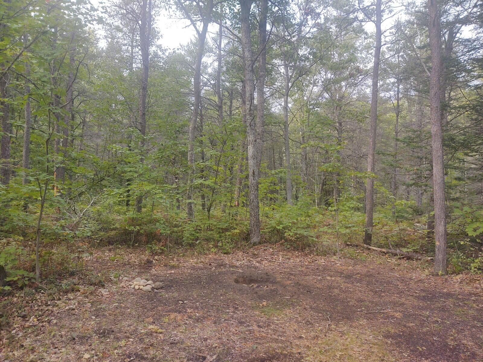 Rogers City, Presque Isle County, MI Undeveloped Land, Homesites for