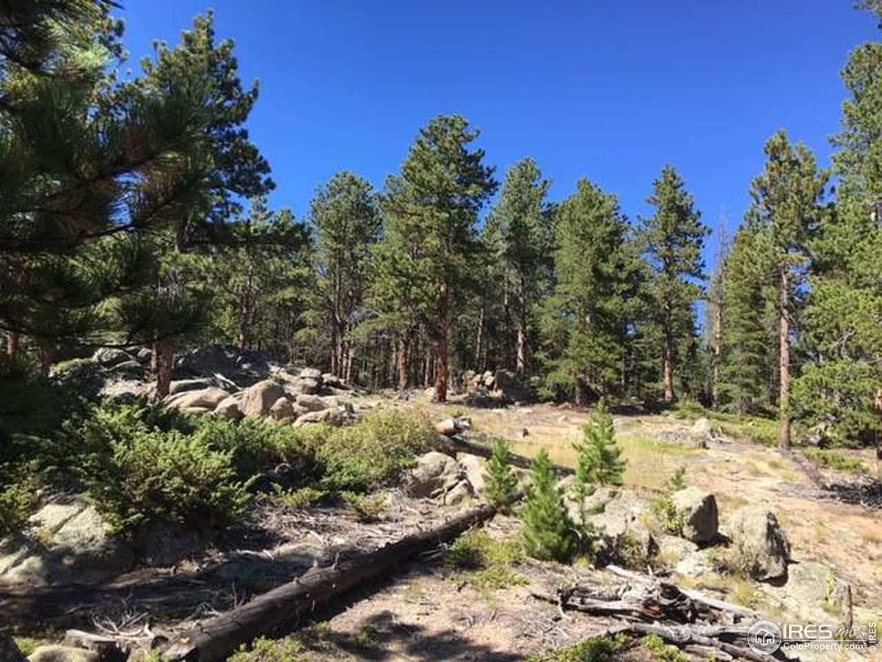 Ward, Boulder County, CO Undeveloped Land, Homesites for sale Property