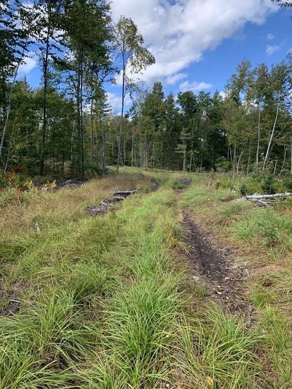 Winchendon, Worcester County, MA Undeveloped Land for sale Property ID
