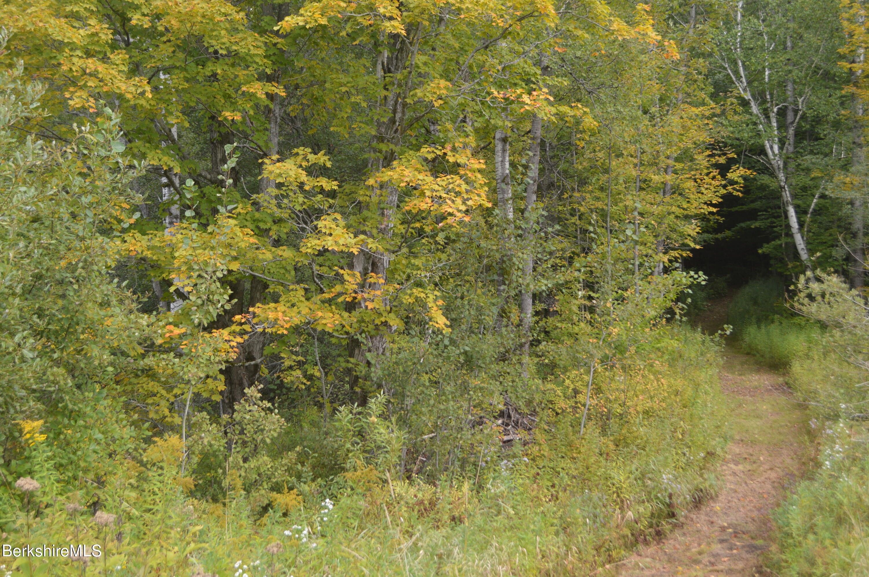 Savoy, Berkshire County, MA Undeveloped Land for sale Property ID 414923918 LandWatch