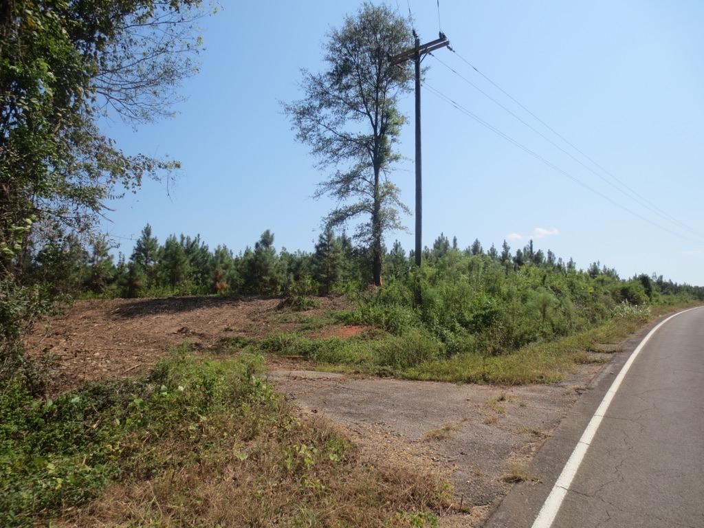 Tylertown, Walthall County, MS Recreational Property, Timberland