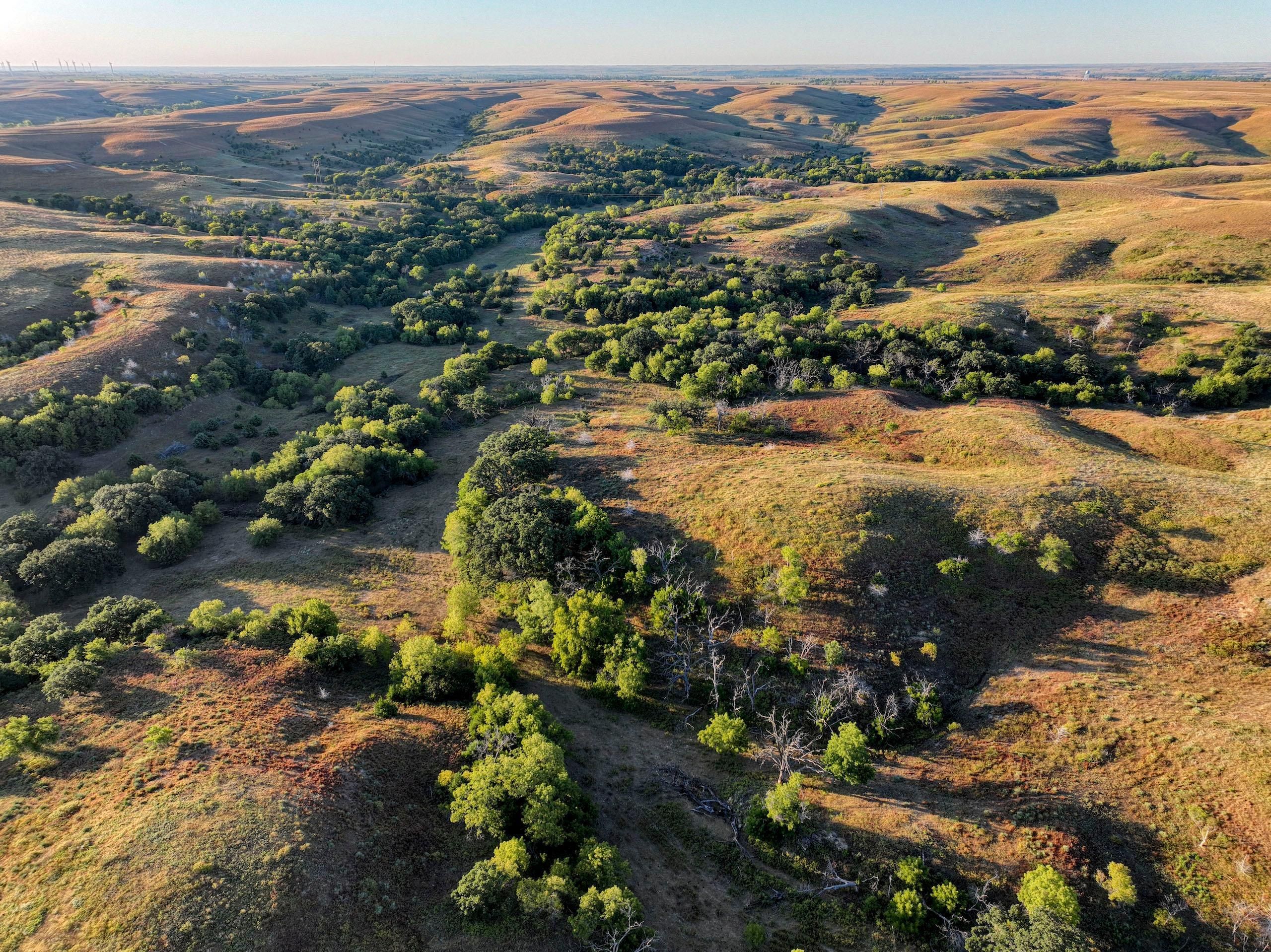 Dorrance, Russell County, KS Farms and Ranches, Timberland Property