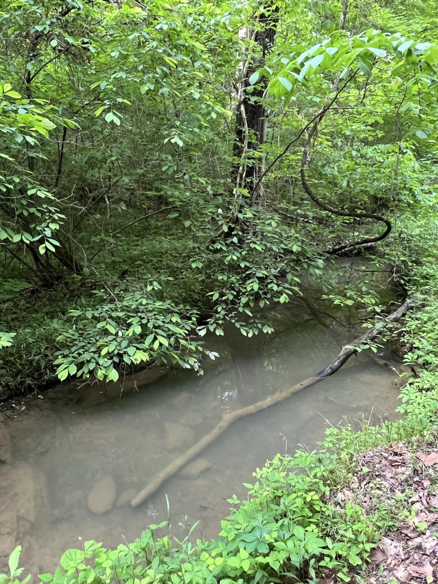 Rogersville, Hawkins County, TN Undeveloped Land for sale Property ID