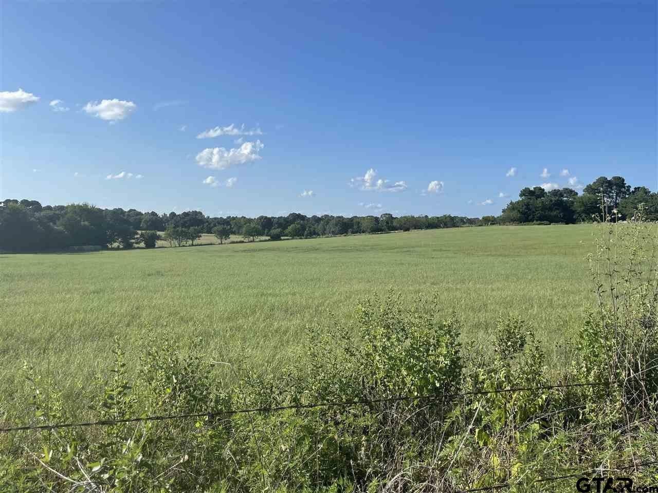 Mineola, Wood County, TX Farms and Ranches for sale Property ID