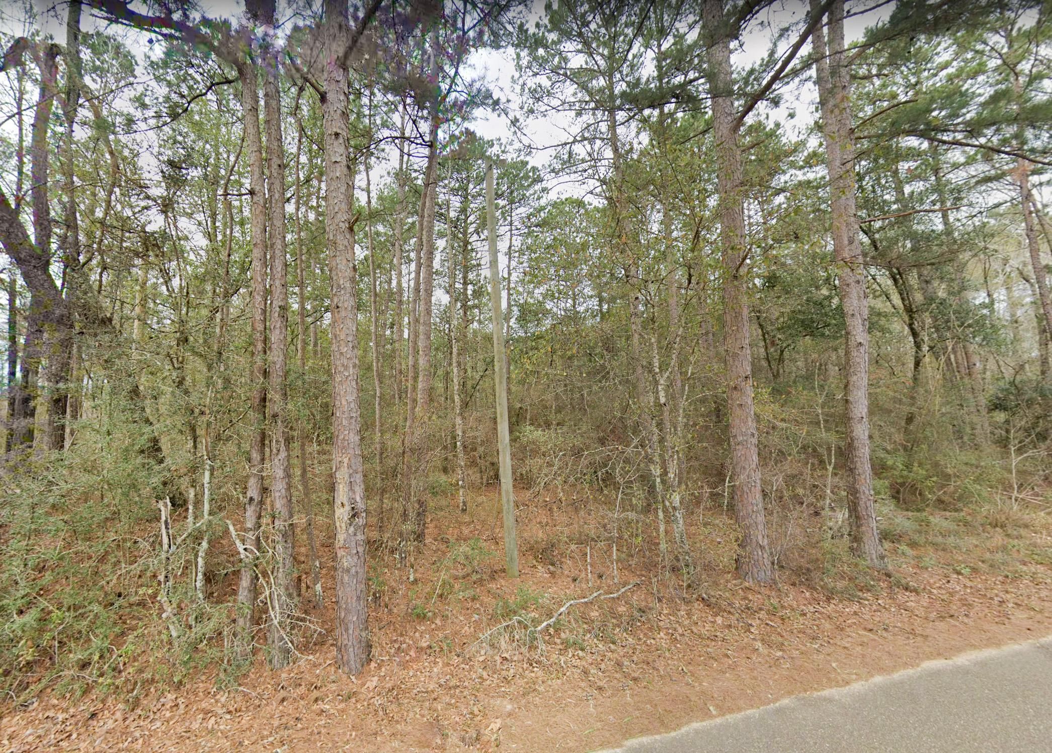 Angie, Washington Parish, LA Recreational Property, Undeveloped Land