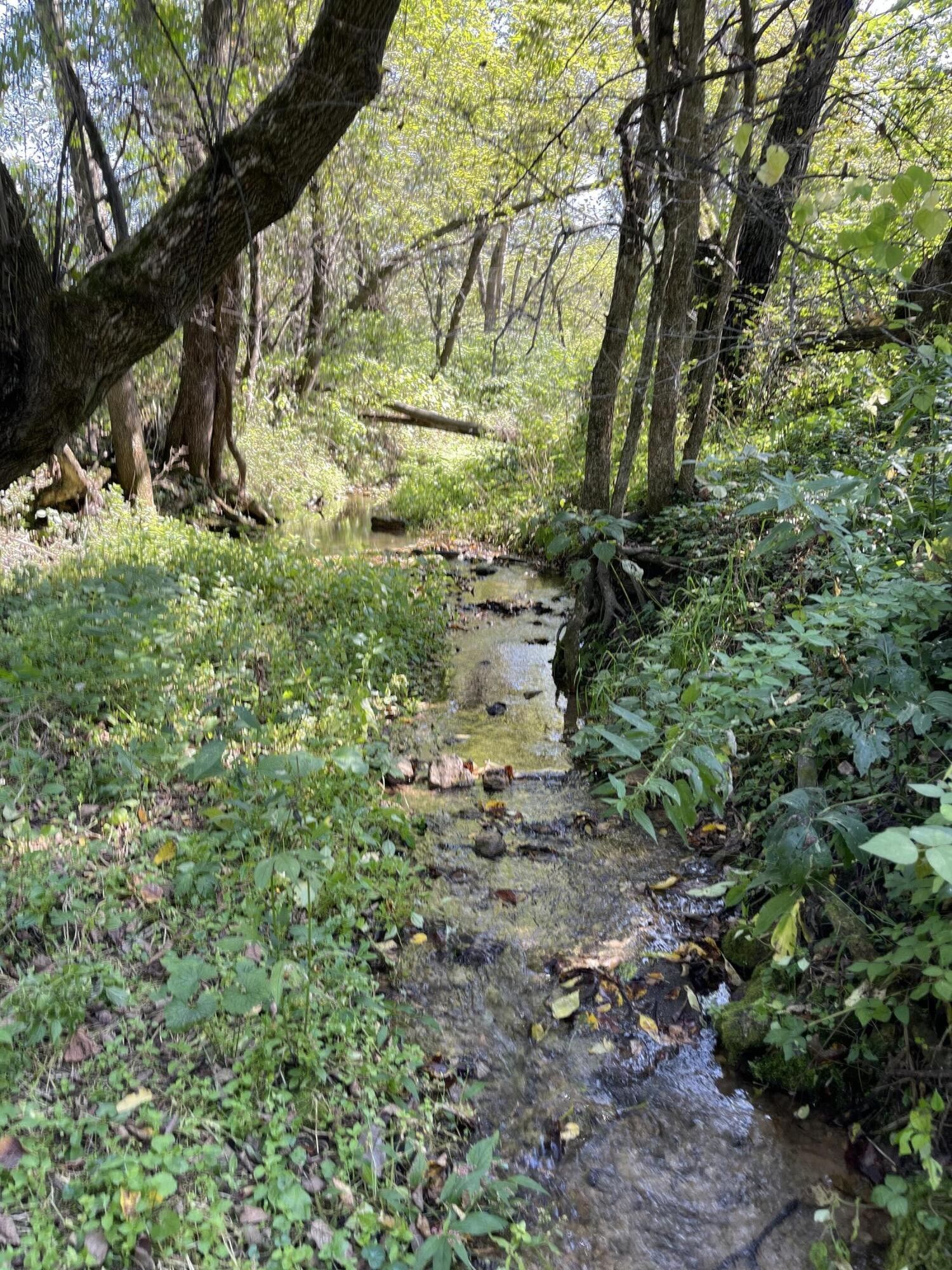 Alma, Buffalo County, WI Undeveloped Land, Lakefront Property