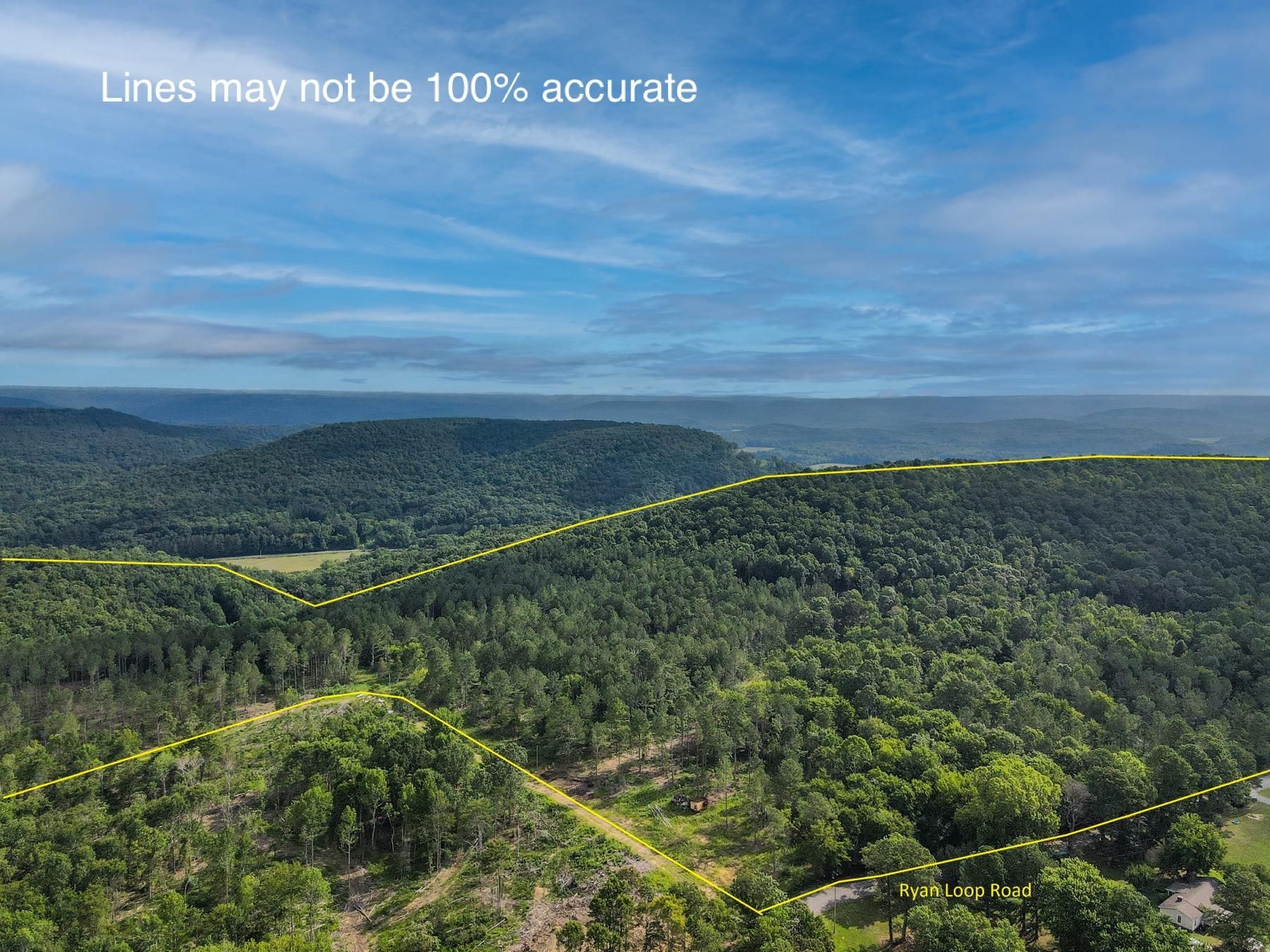 Ryan Loop Road, Baileyton, AL 35019 MLS 1814383 LandWatch