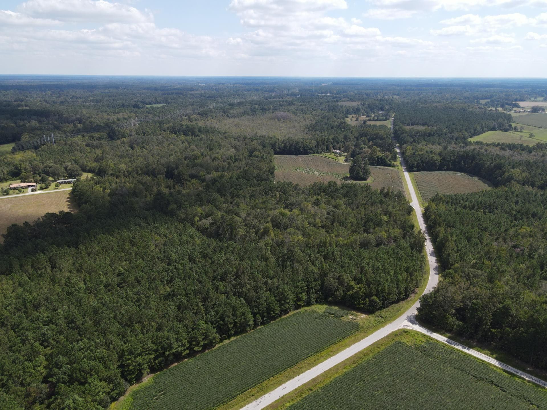 Saint Dorchester County, SC Undeveloped Land for sale Property