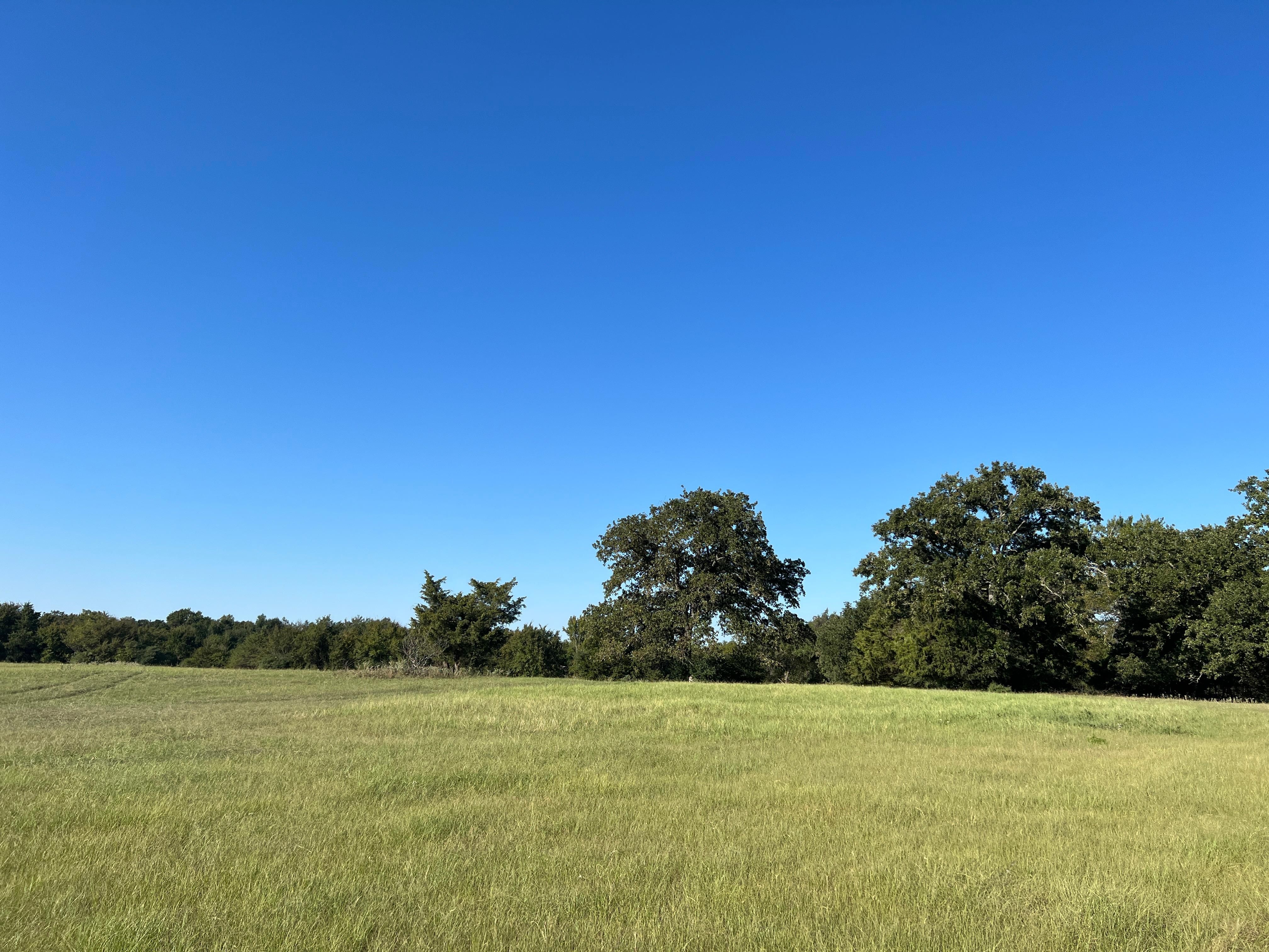 Jewett, Leon County, TX Recreational Property for sale Property ID