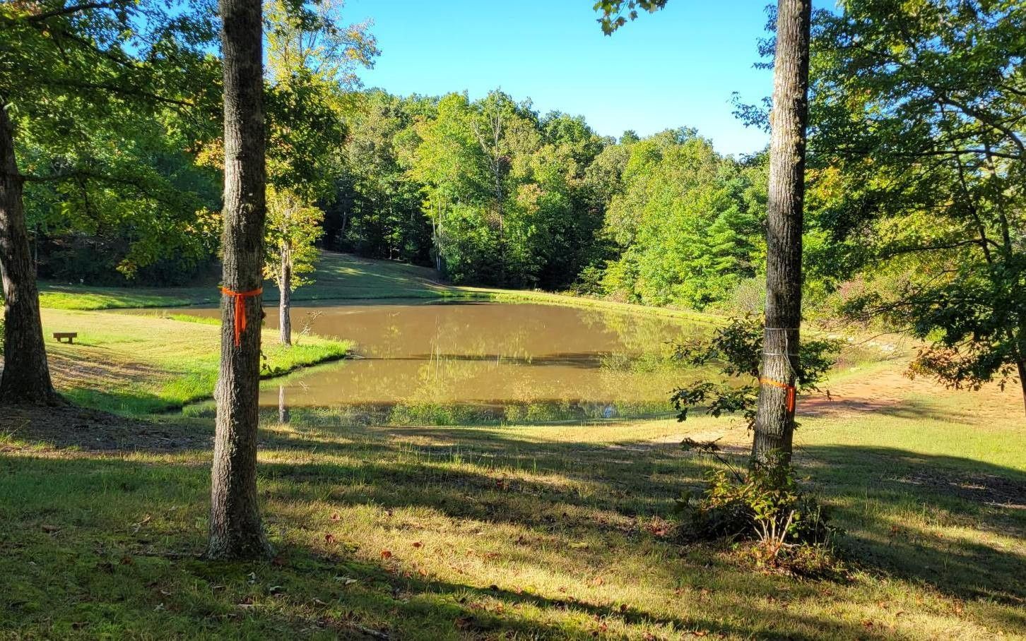 Murphy, Cherokee County, NC Undeveloped Land, Homesites for sale Property ID 414927049 LandWatch